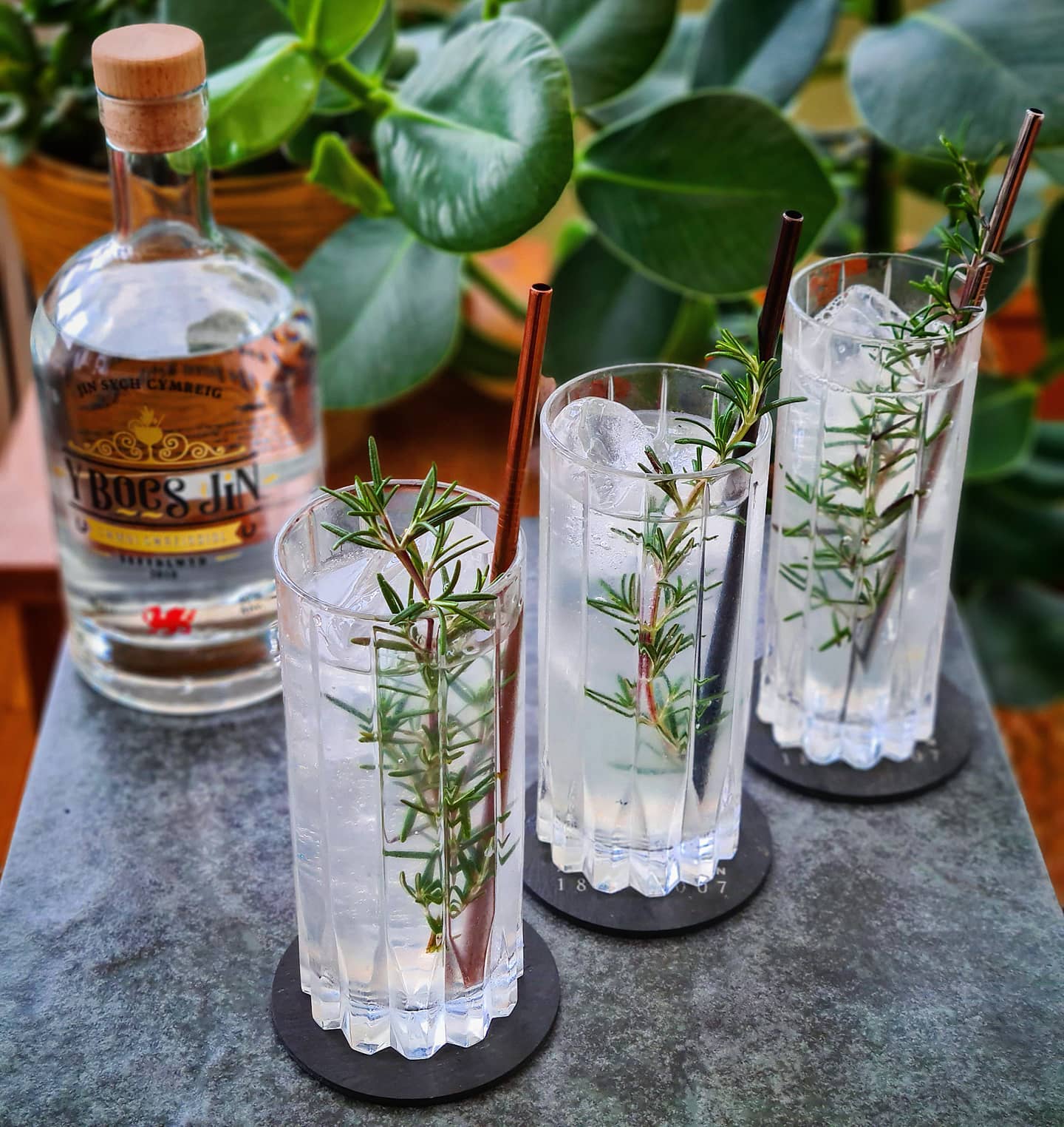 Spiced Elderflower Collins - Easy Cocktails With Gin Spirits