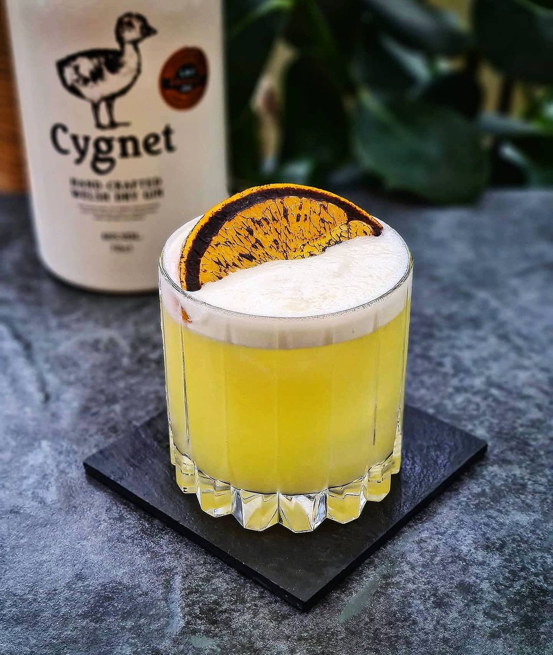 Cygnet Orange Sour - Easy Cocktails With Gin Spirits